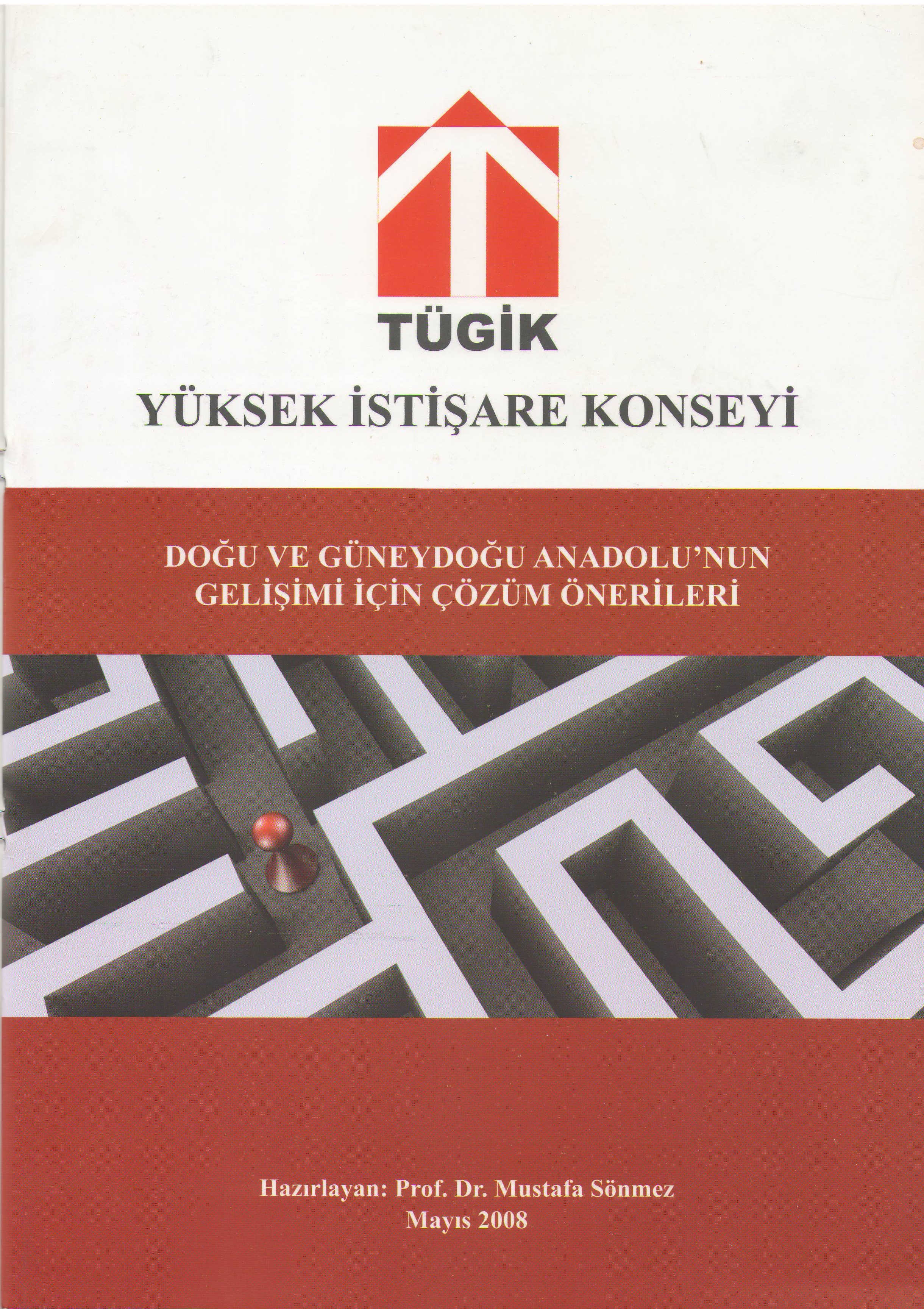 DOĞU VE GÜNEYDOĞU ANADOLU'NUN GELİŞİMİ İÇİN ÇÖZÜM ÖNERİLERİ KİTABI