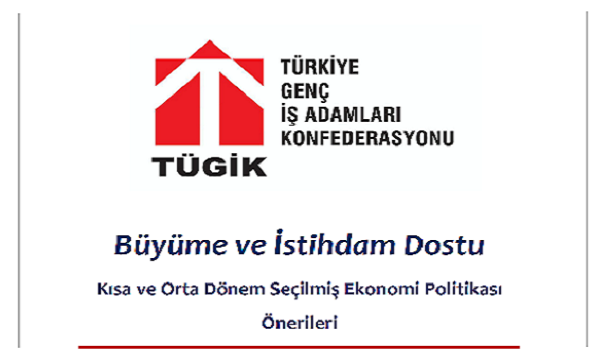 BÜYÜME VE İSTİHDAM DOSTU